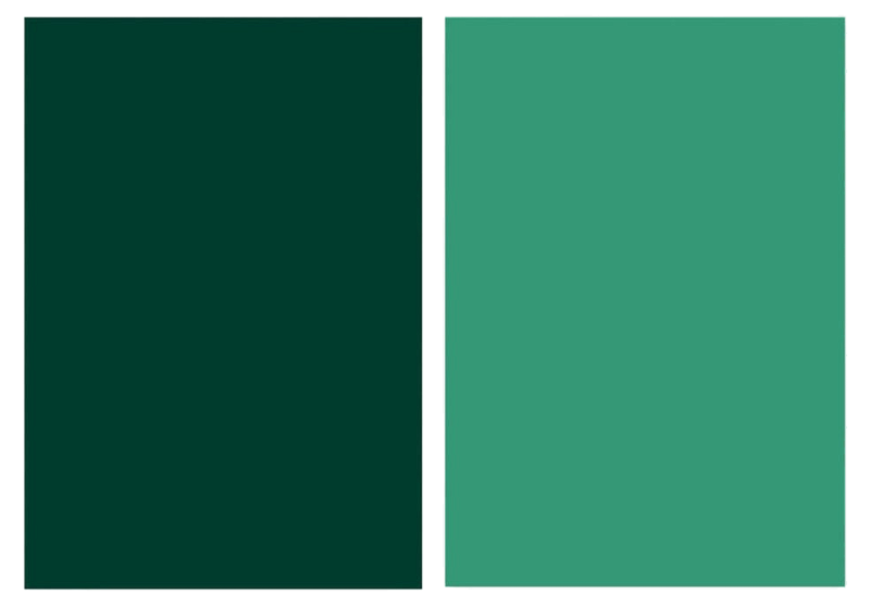 Fotobaggrund Dobbeltsidet 57x87cm Mørkegrøn
