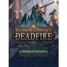 Pillars of Eternity II: Deadfire - Obsidian Edition Steam Gift GLOBAL