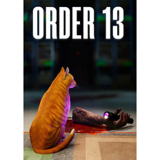 ORDER 13 PC