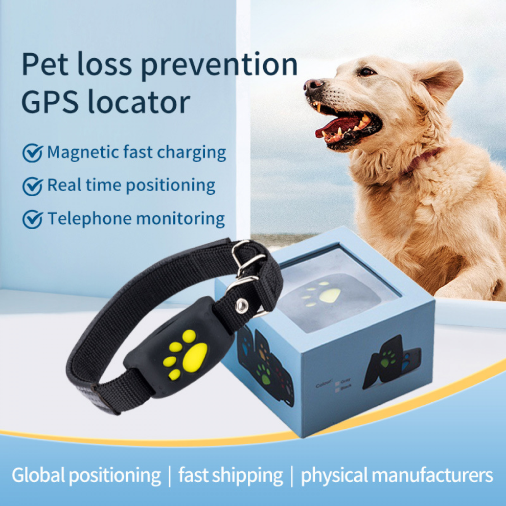 25-26 Smart GPS-spårare för katt och hund -H