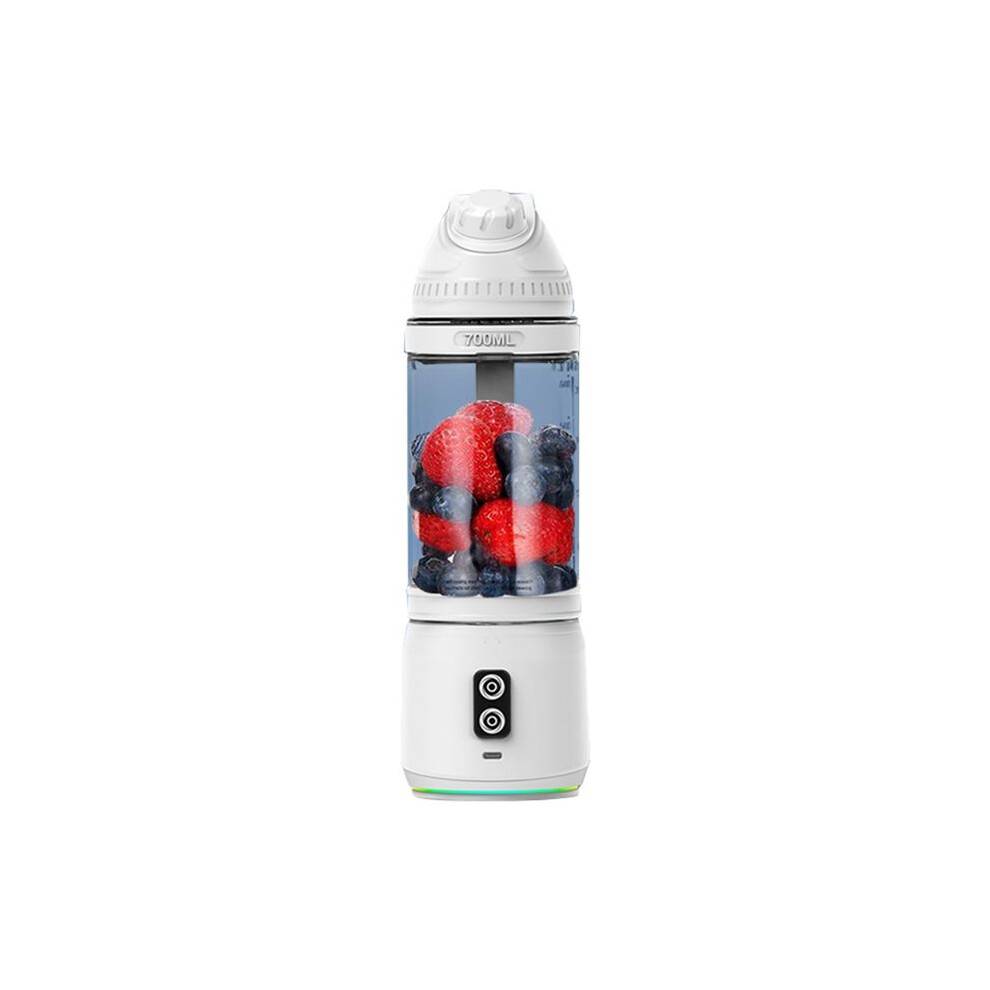 Portable Blender Personal Blender for Shakes and Smoothies Ice Blender for Kitchen Travel Juice Machine 700ML