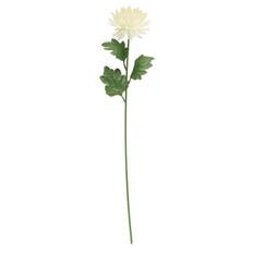 Konstgjord snittblomma – Krysantemum vit