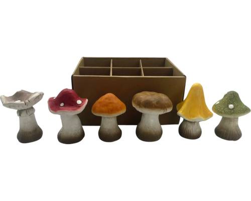 Svampar LAFIORA 6-pack 7x7x10cm