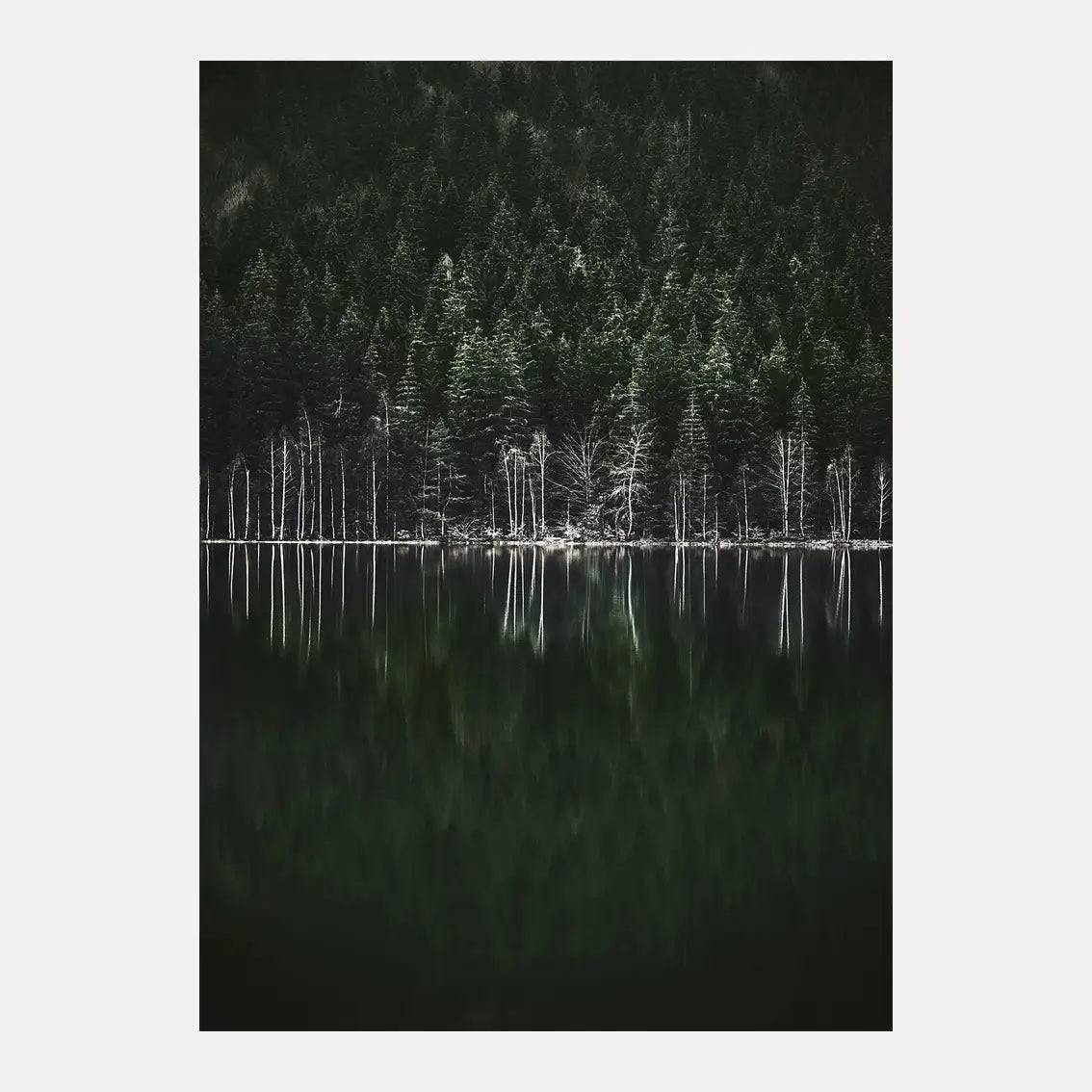 Poster - Moody Forest - Grön