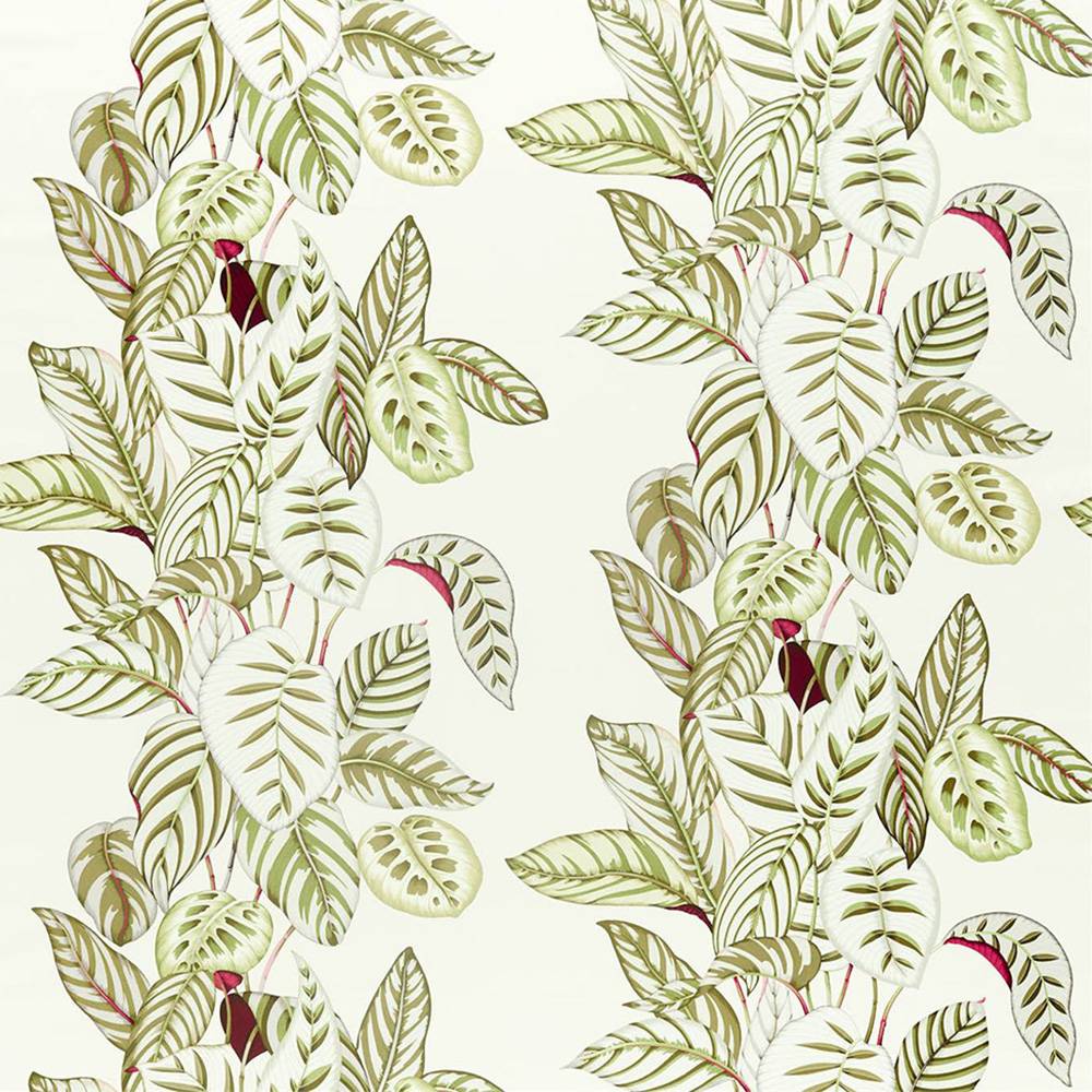 Sanderson Calathea Olive Tyg