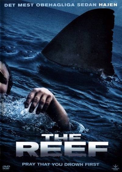DVD - Reef (Beg)