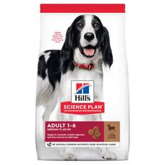 Hill's Canine Adult Medium Lamb & Rice 14kg