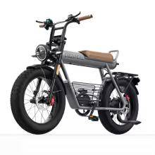 COSWHEEL CT20 Vuxen Elmountainbike 60V 25Ah Batteri 20×5.0 Fettdäck Herr E-cykel Terräng silver