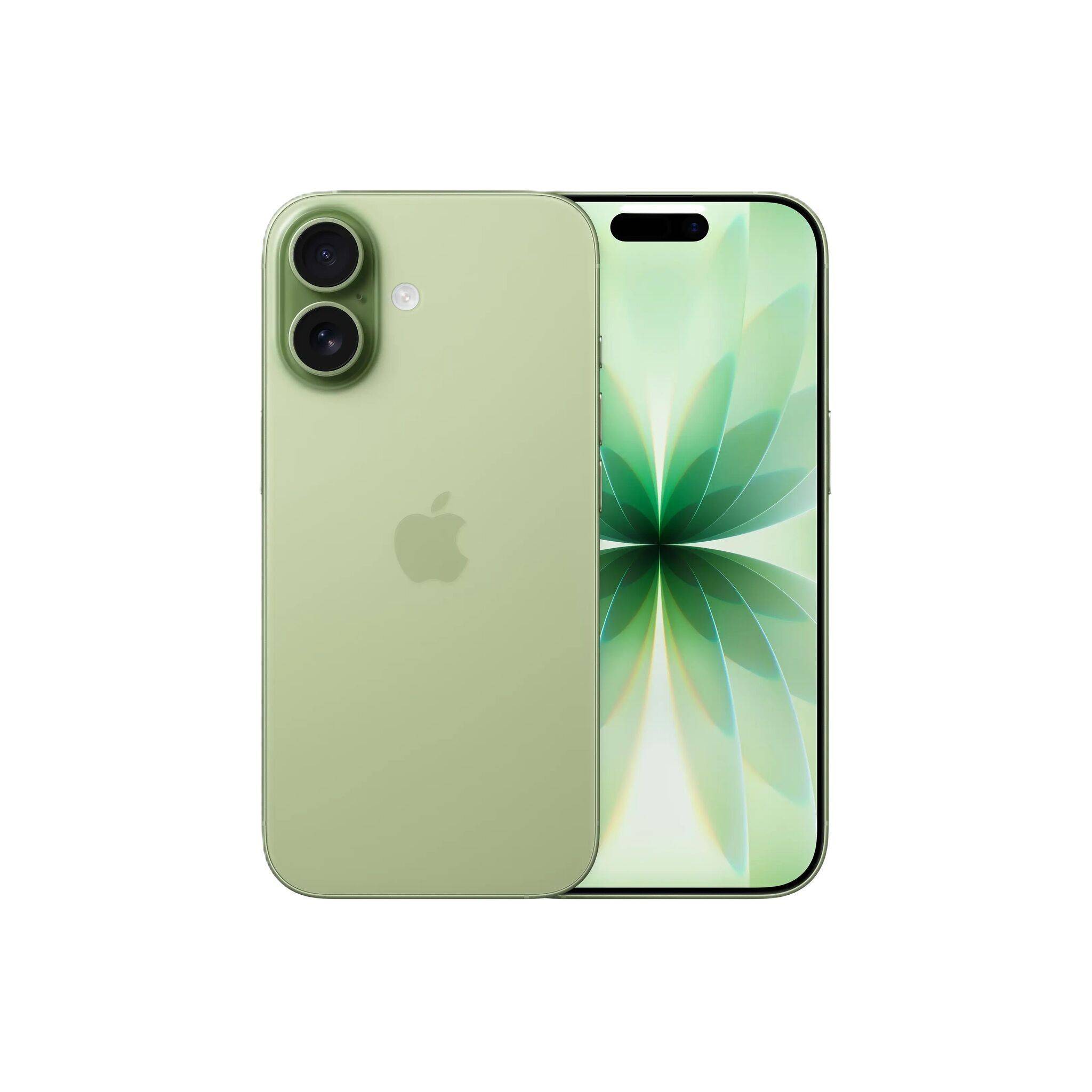 iPhone 17 | 256 GB | Dual-SIM (2 x eSIM) | Salvie