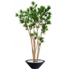 Stort kunstigt Dracaena Florida træ med potte H260 cm