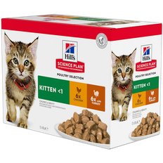 Hills Science Plan Kitten Chicken Turkey Pouch - Wet Cat Food 48 x 85 g