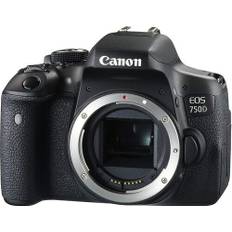 Canon EOS 750D | EF-S 18-55mm f/3.5-5.6 IS STM