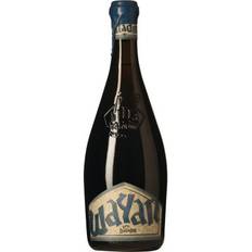 Baladin Wayan Saison 75 cl