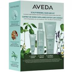 Aveda Scalp Solutions Winter Renewal Set (25 + 200 + 200 ml)