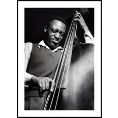 Musician on Bass Poster (40x50cm) - Plakater > Fotografiska Posters, Svart och Vit Posters, Musikposters
