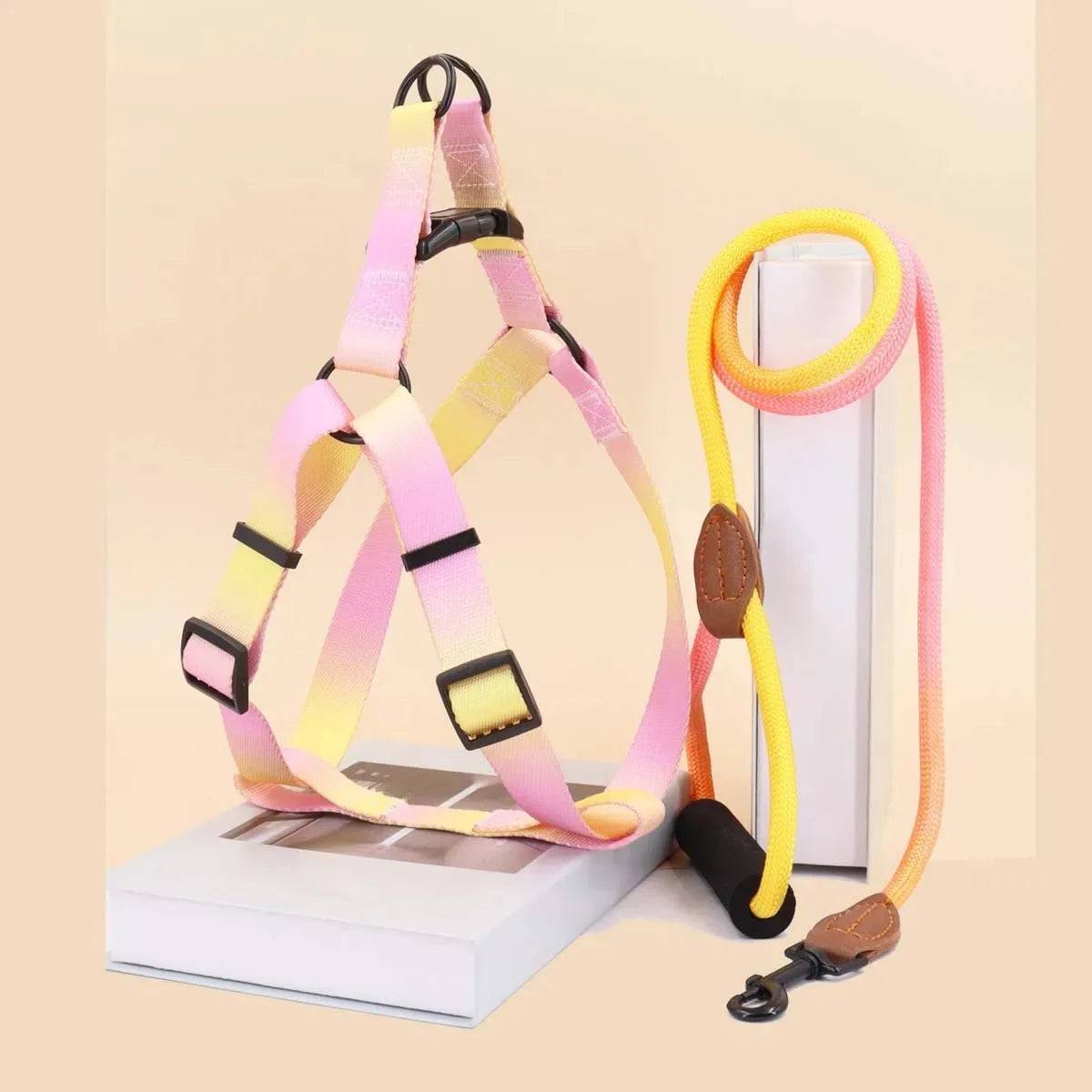 Small Dog Chest Harness with Leash Set - Puppy Training Kit - Pink-Yellow / XL (XL)