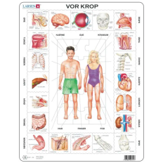 Larsen puslespil kroppens anatomi, 35 brikker