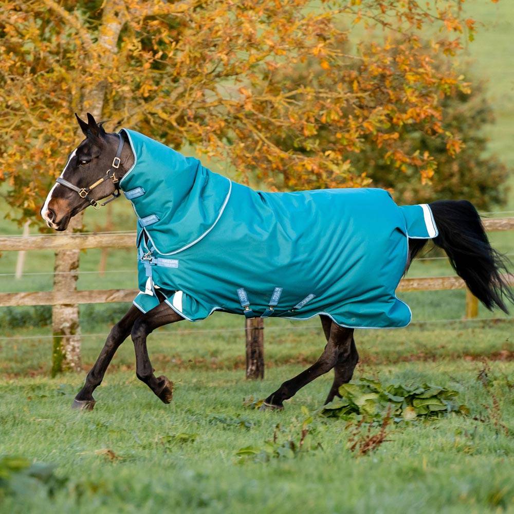 Vintertäcke Amigo 1200D Plus Turnout 400g Horseware® Grön