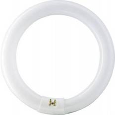 Lysstofrør TL-E Circular Super 80 32W / 840