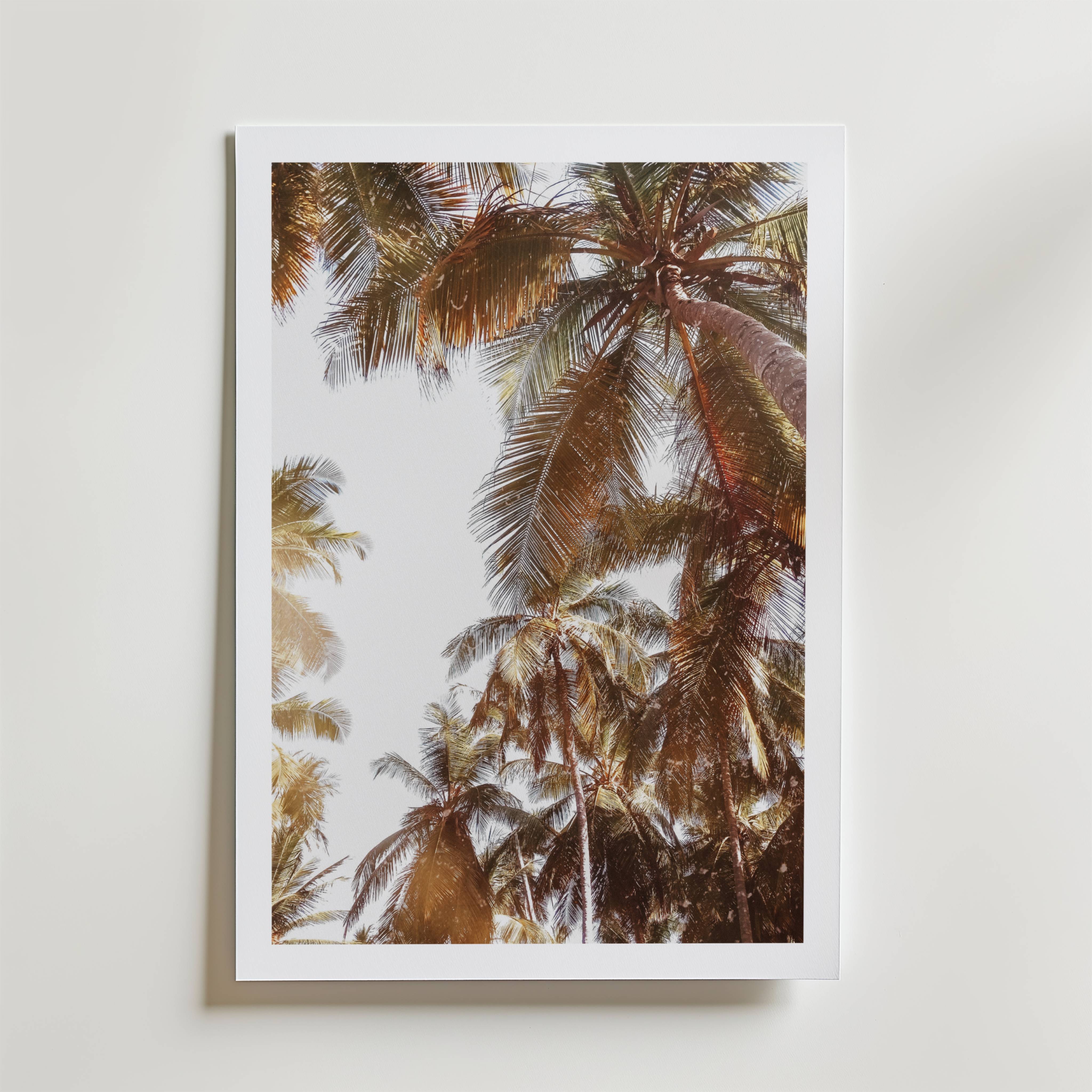 Palm Breeze Skies Poster - Fine Art Poster 100x140 cm