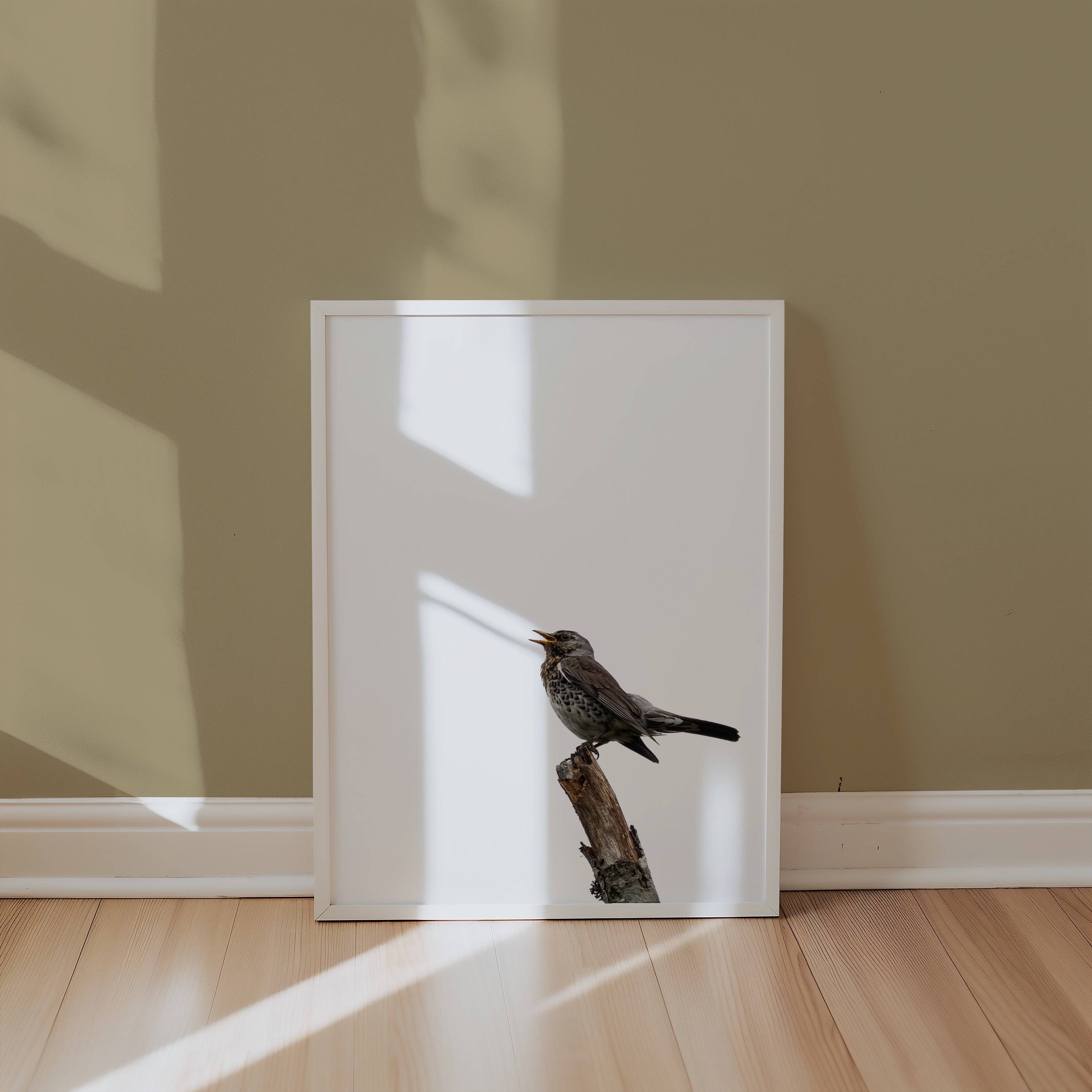 Gravitas Poster - Premium Canvas 50x70 cm