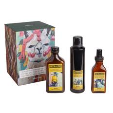 Davines Pasta And Love Kit