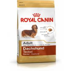 Foder Royal Canin Dachshund Adult Vuxen Kyckling Ris Fåglar 1,5 Kg