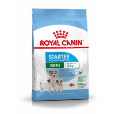 Royal Canin Mini Starter (8 kg)