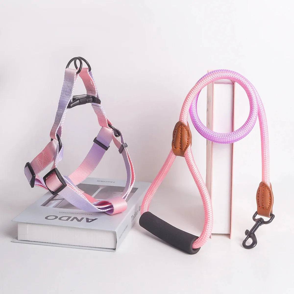 Small Dog Chest Harness with Leash Set - Puppy Training Kit - Pink-Purple / XL (XL)