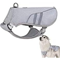 MAHIM Hund utomhus kylväst hund kylväst med avdunstande cool mikrofiberteknik för utomhusträning camping vandring (S)
