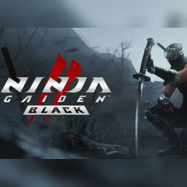 NINJA GAIDEN 2 Black (PC) Steam Account - GLOBAL