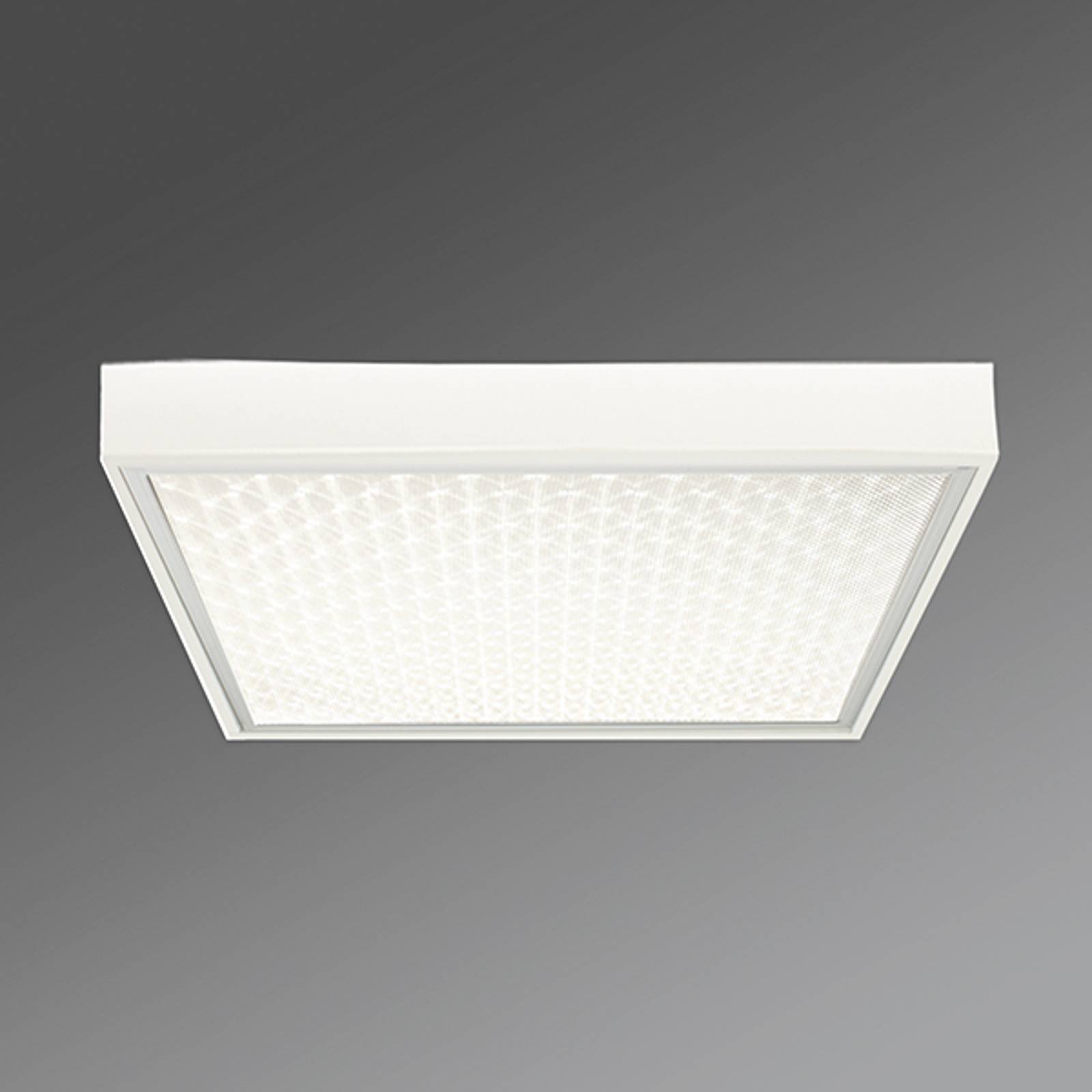 Regiolux Kontorstaklampa Protection-PRAMP 660 BAP Protection, Vitt / opal, Arbetsrum / kontor, Metall