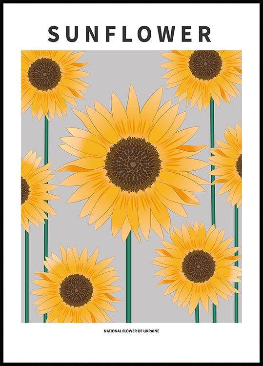 Sunflower - National flower och Ukraine (100x140cm) - Plakater > Typografiska Posters, Sommar Posters, Botaniska Posters, Natur Posters, BD, LANGFIX