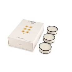 Ginori 1735 LDCD Tea Light Scented Candles White Jealousy 12p (12x48 g)