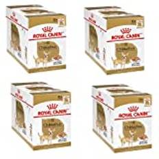 Royal Canin Chihuahua vuxen – bunt – 4 x 12 x 85 g