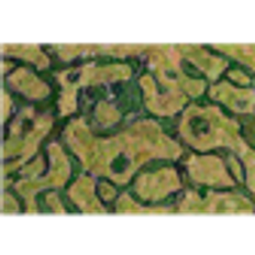 Kraken Wargames Gaming Mat - Forsaken Swamp 44"x60"
