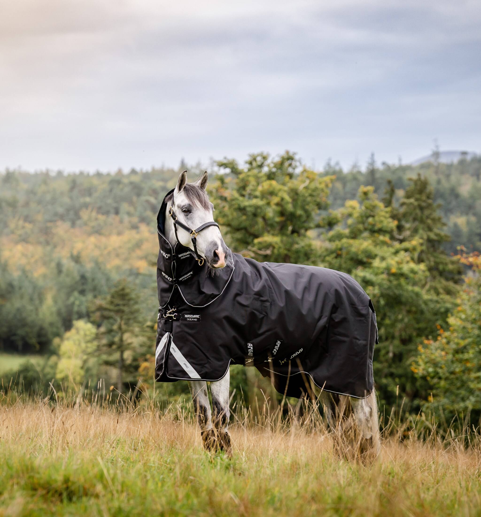 Amigo Super Bravo Plus 250g - Svart, Horseware