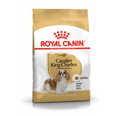 Royal Canin Cavalier King Charles Adult - over 10 m�neder