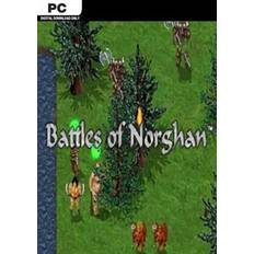 Battles of Norghan PC