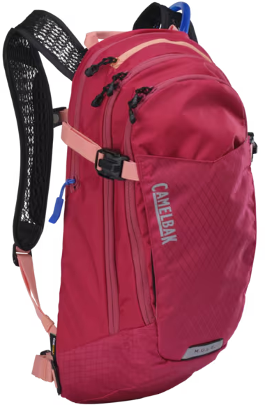 CamelBak Women's M.U.L.E. 12 Berry, 12L