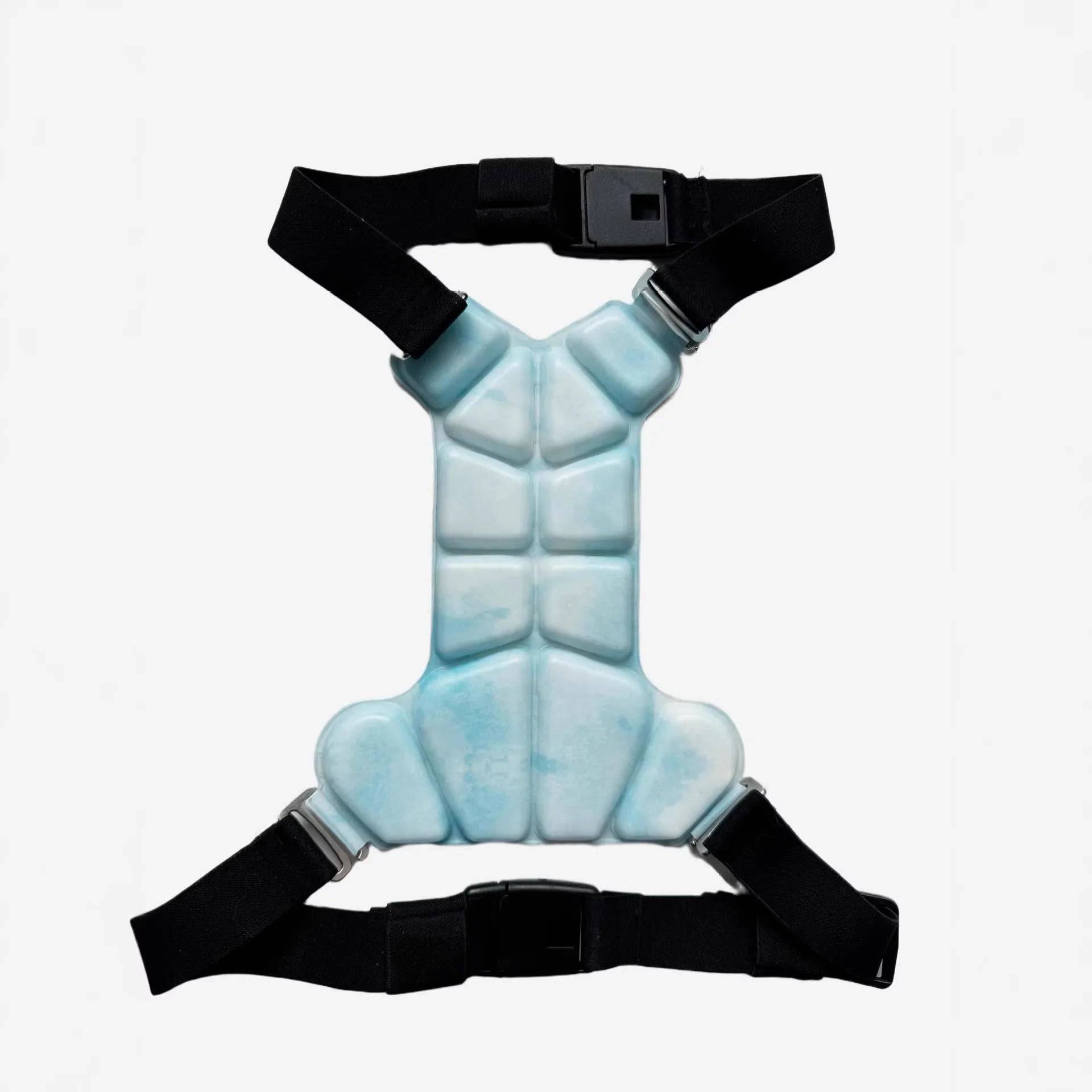 Reusable Gel Dog Cooling Harness Vest with Elastic Straps — Lightweight Summer Cooler - Blue / S (S)