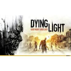 DYING LIGHT (PS4) (Account) - Standard