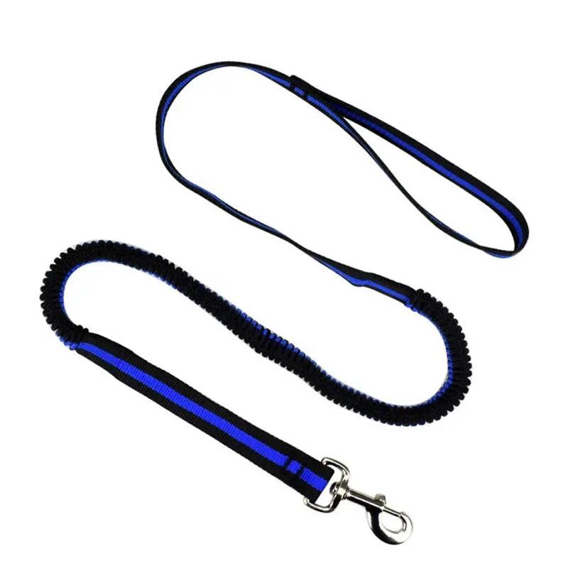 Elastic Anti-Pull Pet Lead (190cm) - Blue / Width 2.5cm