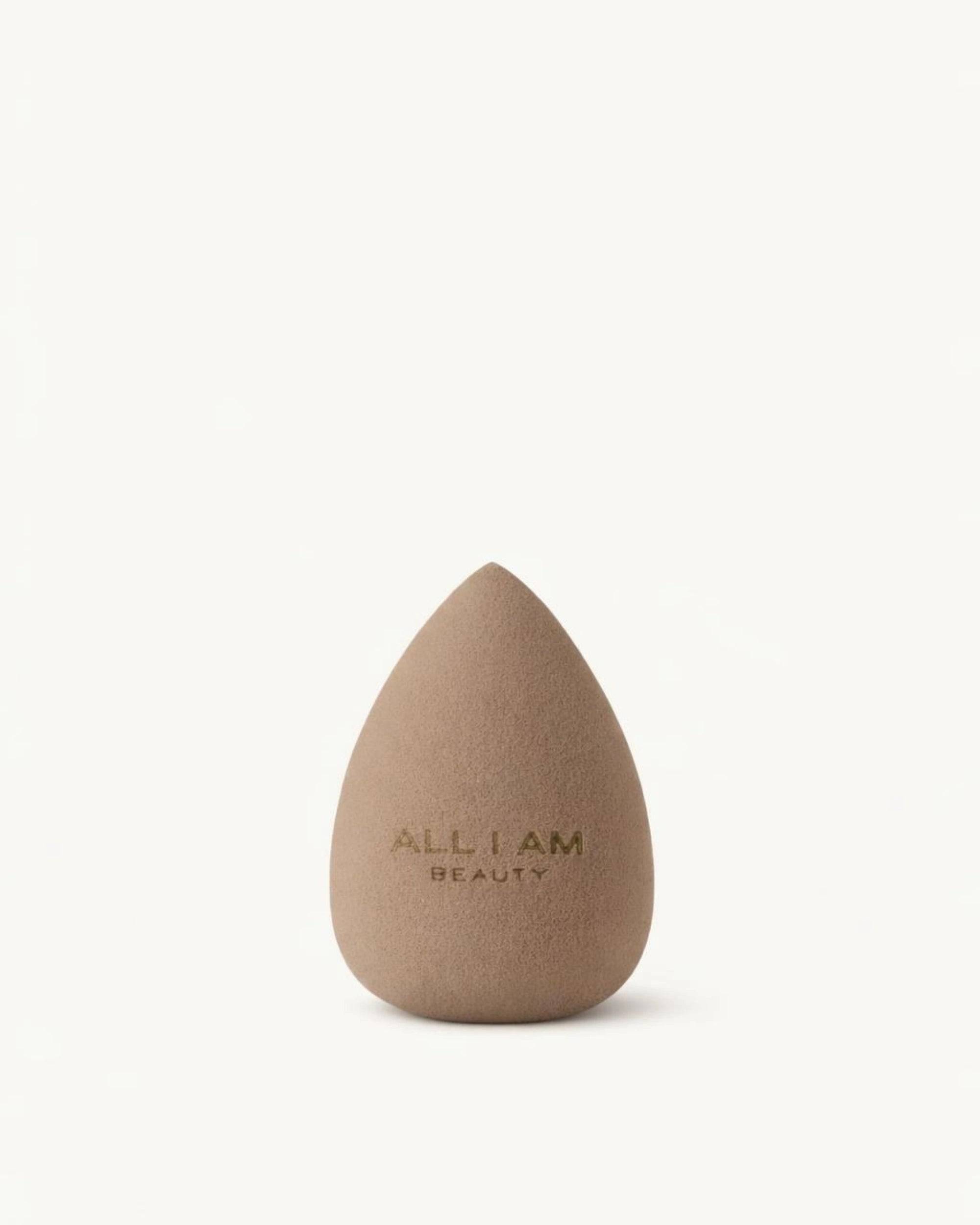 Makeup Sponge 02
