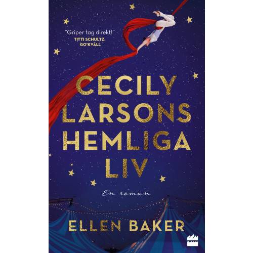Cecily Larsons hemliga liv (pocket)