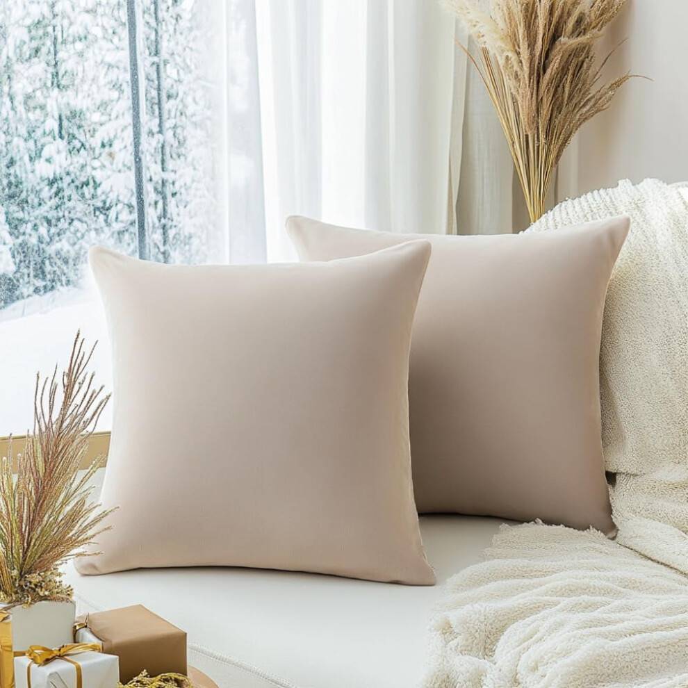 2-pack sammet örngott dekorativt örngott enfärgat kuddfodral för soffa vardagsrum soffa sovrum bil, 20x20 tum