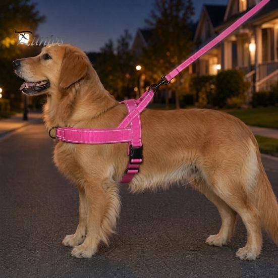 Liten Hundsele Anti-drag med Handtag, Justerbar Reflekterande Sele, Kraftig Bakre Koppelfäste Vadderad Nylon för Medelstora Stora Hundar Promenader ro