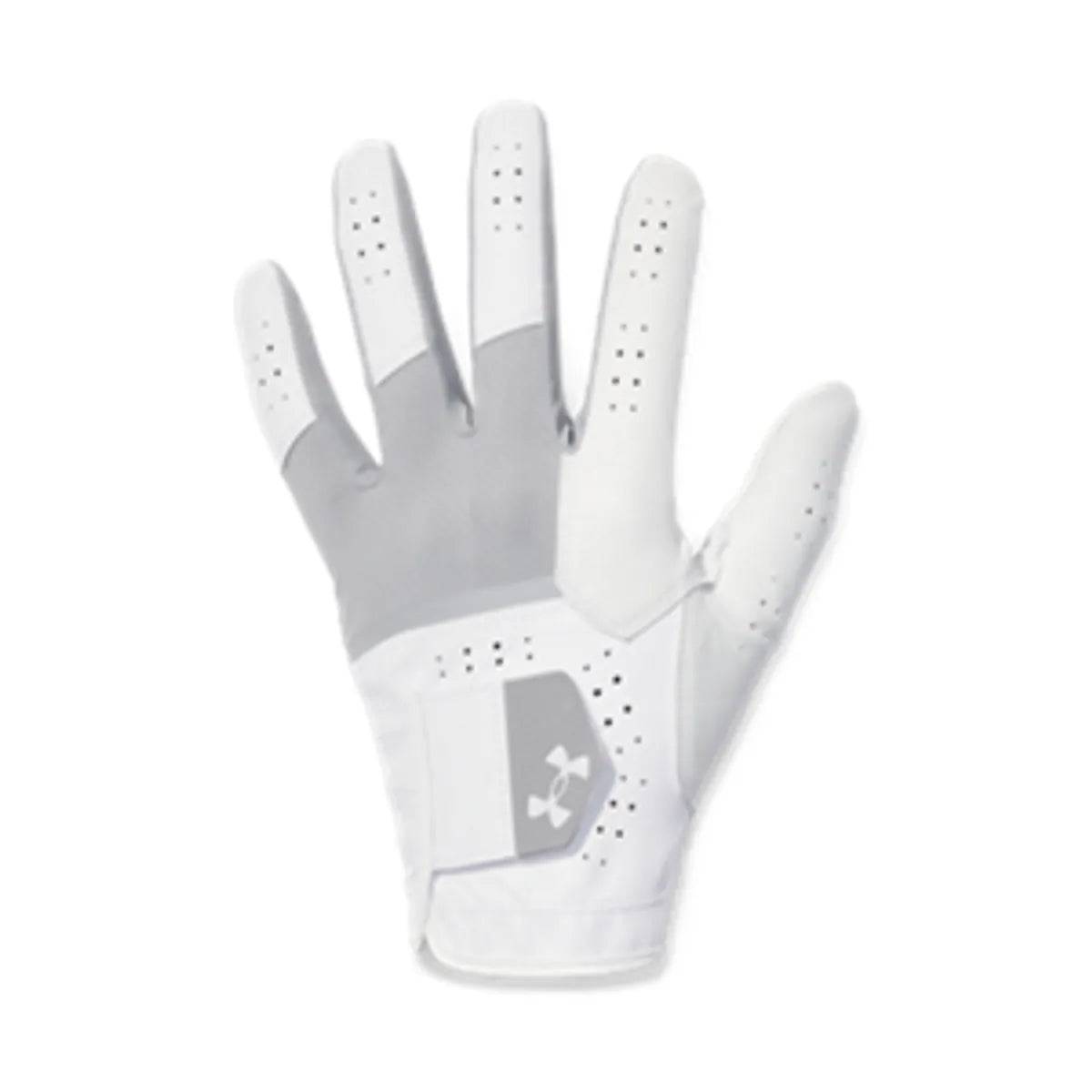 Under Armour Iso-Chill Pro Golf Glove Steel - RML