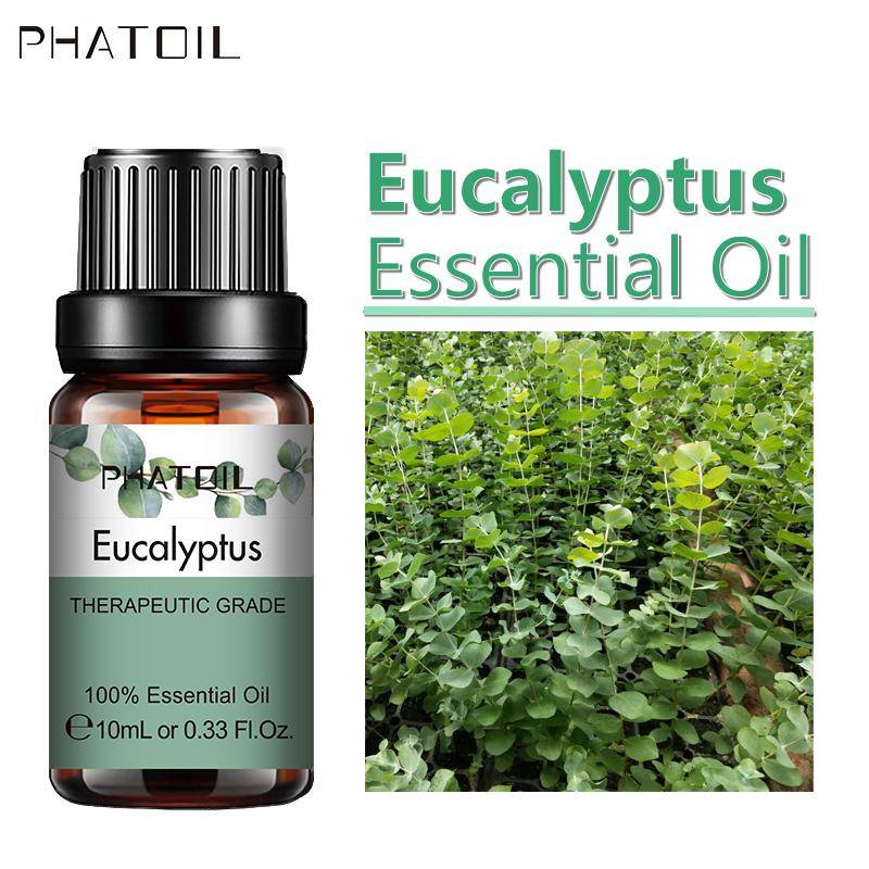 PHATOIL 5ml/10ml/15ml/30ml/100ml Eucalyptus Pure Plant Extract eterisk olja för aromaterapidiffusorer Luftfräschande kroppsavlastning