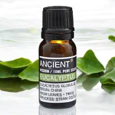 Ancient Wisdom æterisk eucalyptus olie